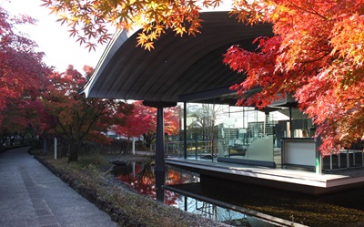 photo2