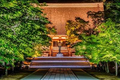 ＜GN＞舞妓はんとの夕べ　特別夜間拝観 世界遺産 仁和寺ライトアップ