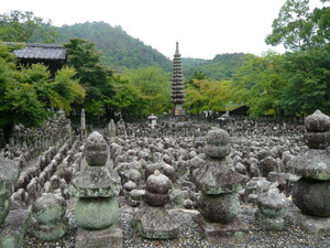 photo1