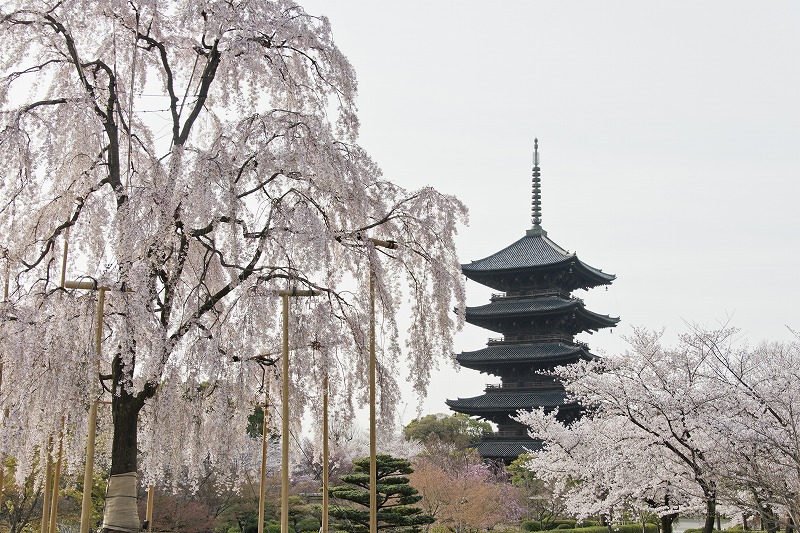 平安神宮、東寺