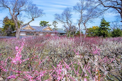 ＜L4＞第57回京の冬の旅 「雪月花の三庭苑」めぐり