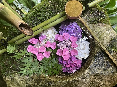 京都西山三山の楊谷寺・光明寺・善峯寺をめぐる！昼食は季節の食材をふんだんに使った「月弁当」に舌鼓！