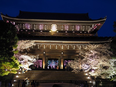 ＜NK＞京のライトアップ夜桜　観音様の慈悲の光と桜色に染まる友禅苑／京阪バス