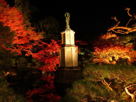 ＜NY＞ライトアップ京の紅葉　知恩院と東寺の夜紅葉／京阪バス
