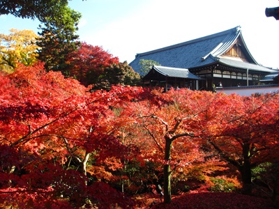 ＜T＞～京都もみじ紀行～ 天龍寺・嵐山・東福寺の紅葉／京阪バス