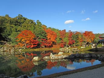 ＜T＞～京都もみじ紀行～ ランキング上位をおさえよう！天龍寺・嵐山・東福寺の紅葉
