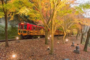＜TR＞ﾗｲﾄｱｯﾌﾟトロッコ列車 幻想的な秋の景色と絶品湯豆腐