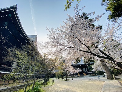 京阪バスと京都タワー