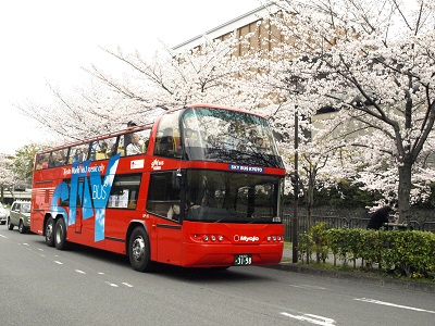 ＜W3＞スカイバス京都　桜満喫ドライブ／京阪バス