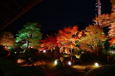 photo3
