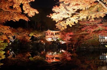 ＜XB＞ライトアップ京の紅葉　醍醐寺と隨心院／京阪バス