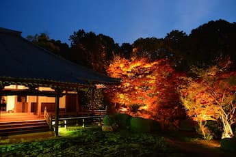 ＜XB＞ライトアップ 京の紅葉　醍醐寺と隨心院