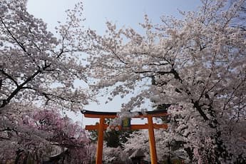 平野神社