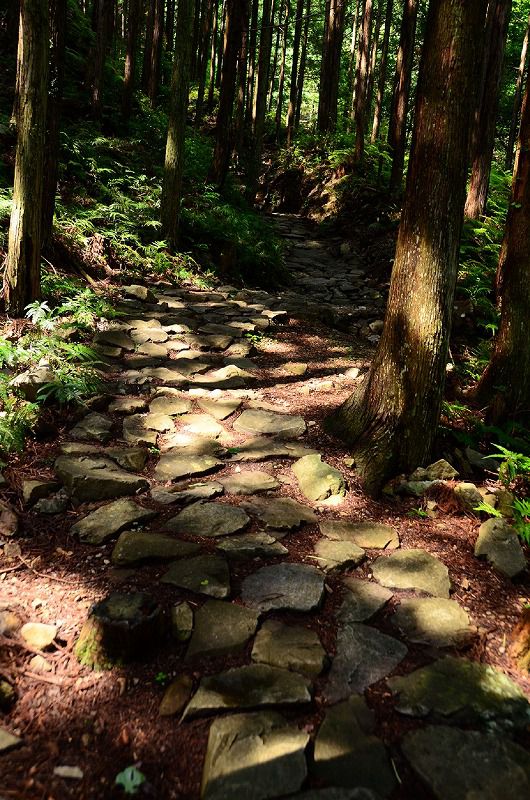 ツヅラト峠