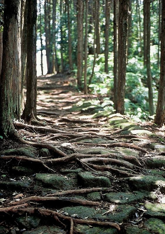 熊野古道観光ツアー