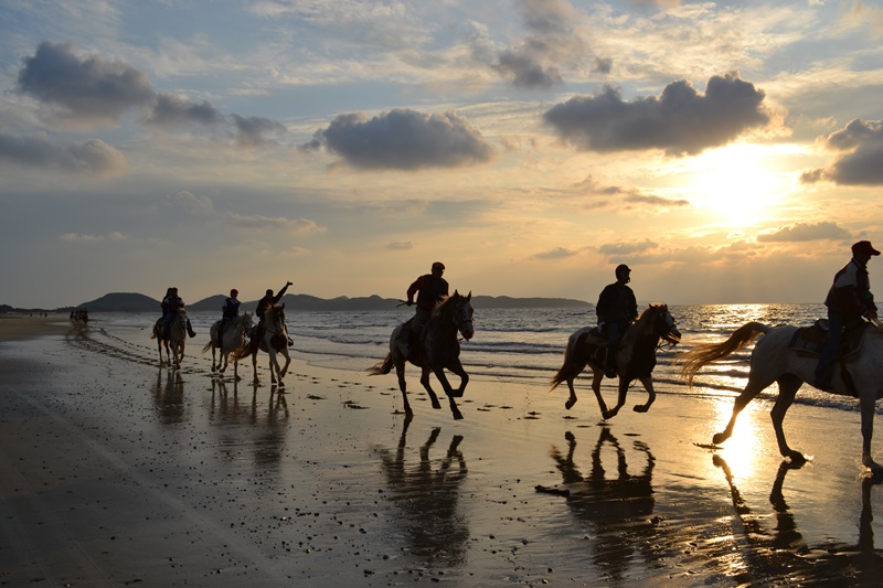 【福岡・乗馬体験】土日限定!憧れのビーチ...の写真
