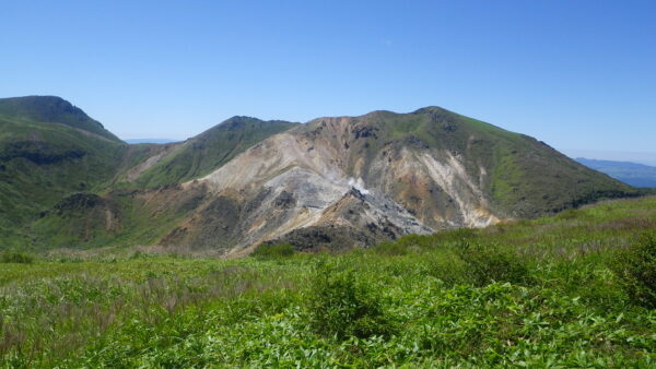 photo1