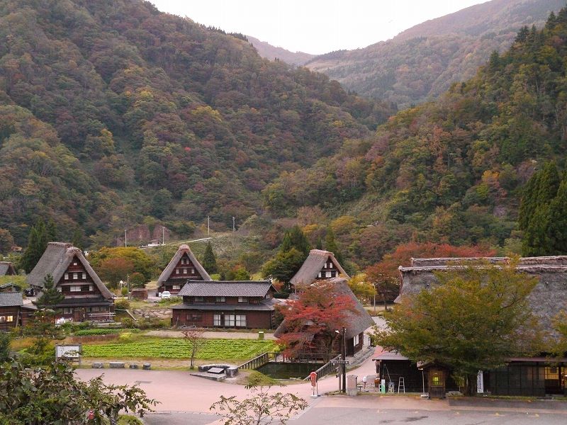 世界遺産 白川郷・五箇山と木彫りの町井波コース