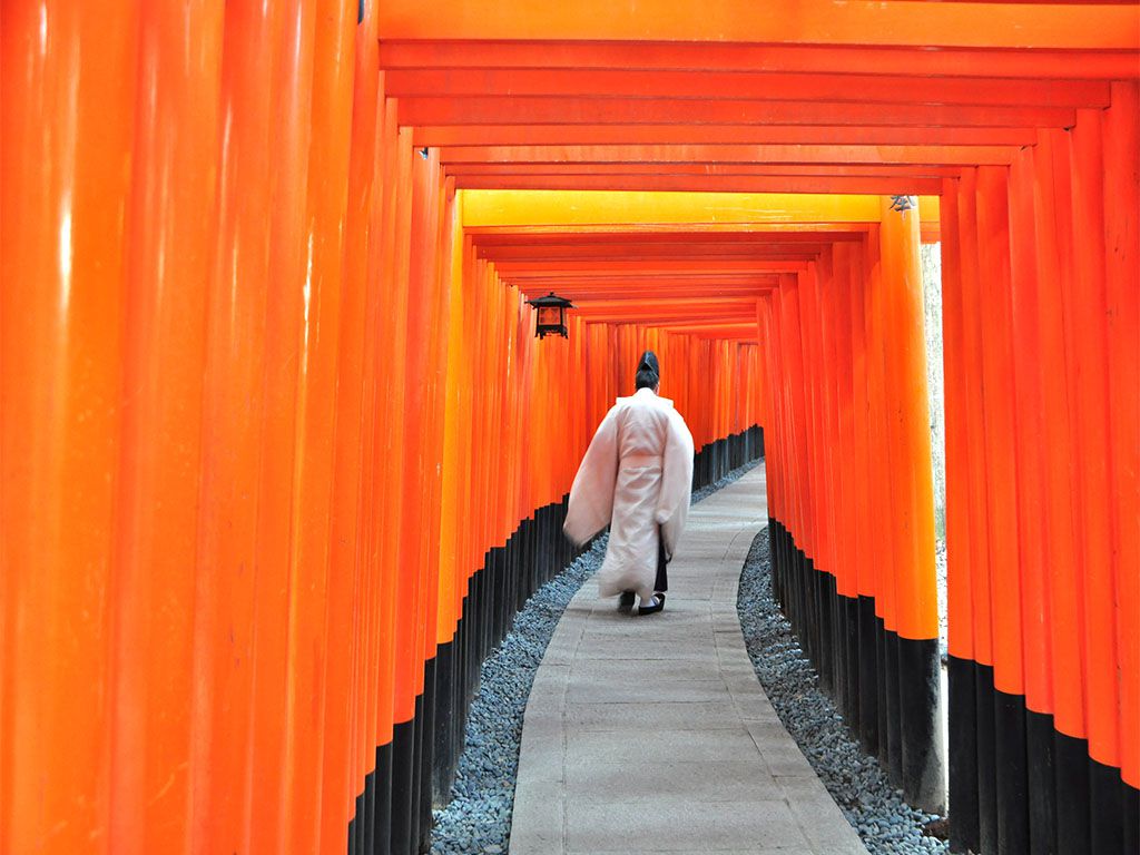 伏見稲荷大社・清水寺・金閣寺・嵐山　京都4大観光地巡り！