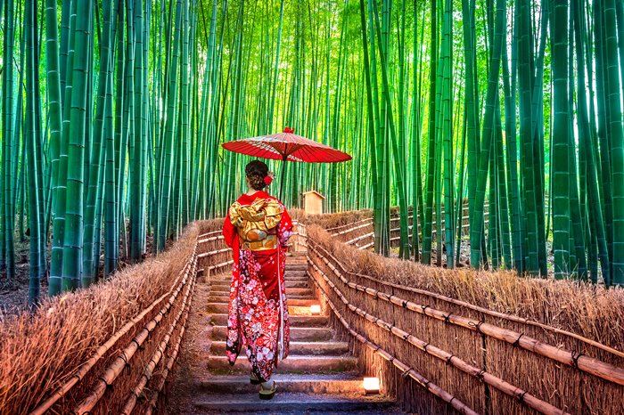 添乗員同行！人気スポット巡り～清水寺・金閣寺・嵐山～昼食付プランはおすすめの「京豆腐御膳」