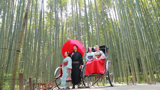 京都嵐山たっぷり3時間＆奈良公園　1日バスツアー