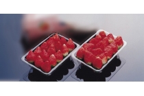 【名古屋駅発】＊日帰り昼食付＊『南信州いちご狩り』