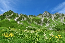 photo1