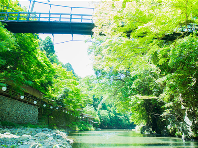 ＜川床席確約／無料送迎バスあり＞青もみじの中、春の新鮮な風を楽しむ川床ランチプラン