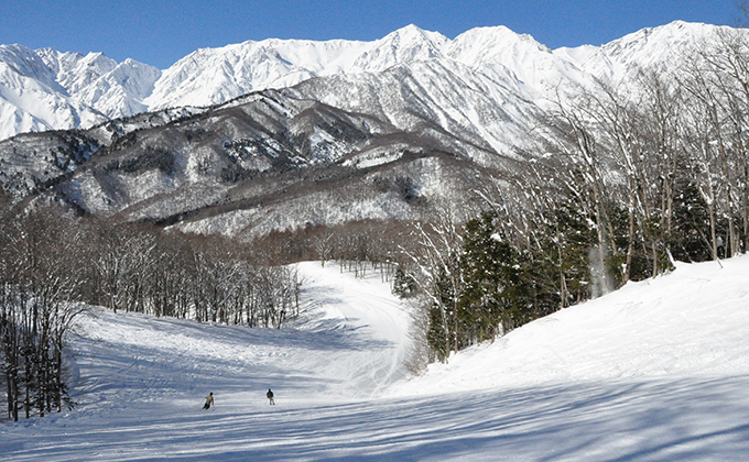 白馬岩岳スノーフィールド