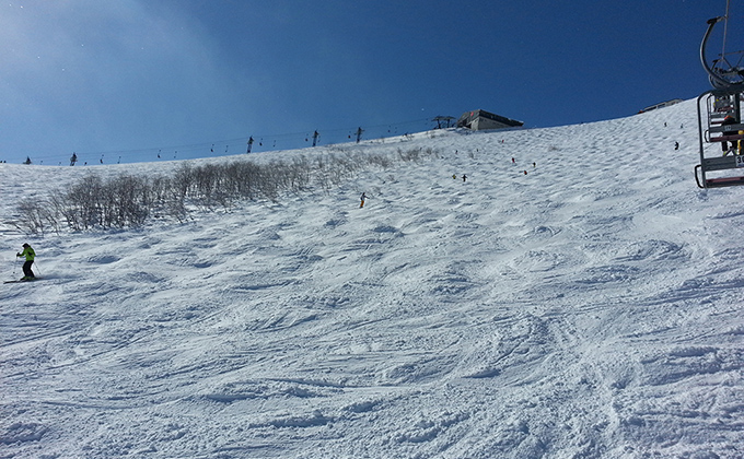 photo2