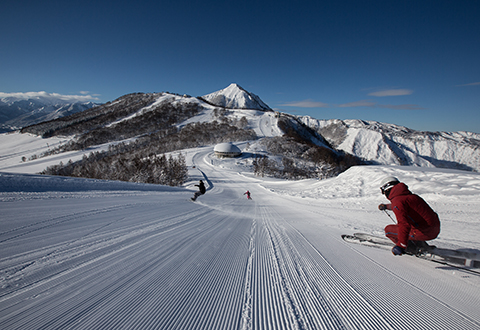 《関東発・新幹線利用》JRで行く日帰りスキー≪舞子スノーリゾート≫★リフト券付+レンタルチョイス