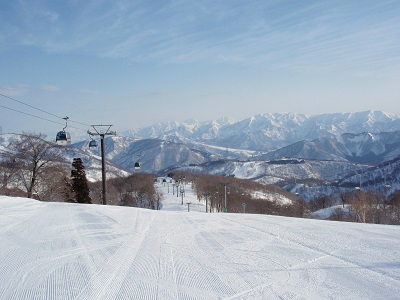 photo3