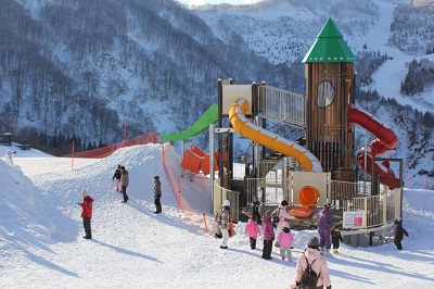 photo3