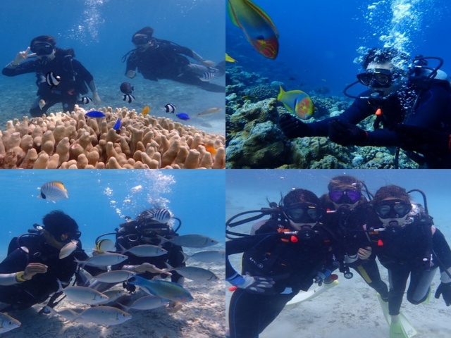 沖縄・水納島【Cプラン◆ボート体験ダイビング＆日帰り海水浴】水納島往復乗船券&ランチ＆パラソル1本＆写真無料ダウンロード付き！！