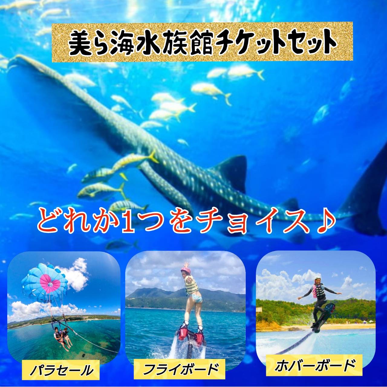 【美ら海水族館入館券＆パラセーリングorフライボードorホバーボード】やんばる国立公園入口を満喫♪