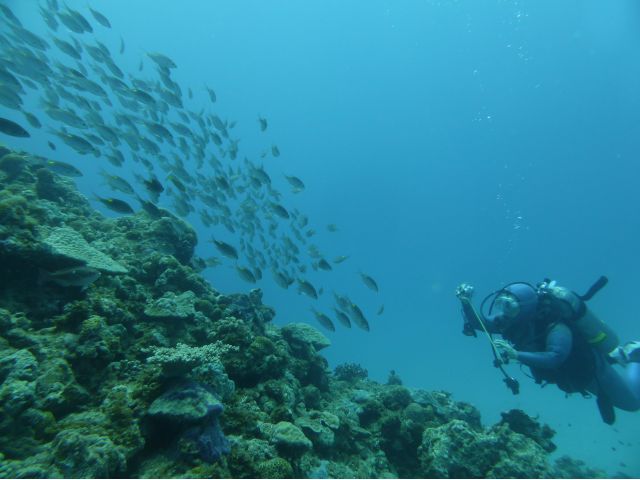 photo3
