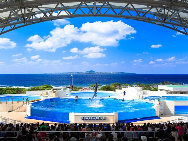 【ガイドは中国語のみ】那覇or北谷より出発！絶景の万座毛＆古宇利島に美ら海水族館＋北谷アメリカンビレッジへ！軽食ランチ付がうれしいね。
