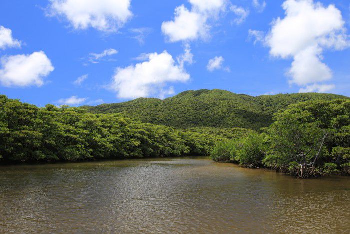 【安栄観光・＜C＞西表島仲間川＆由布島2島周遊（昼食付）】