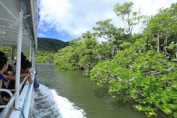 【安栄観光・＜FC＞西表島・由布島・竹富島フリータイム ３島めぐり】