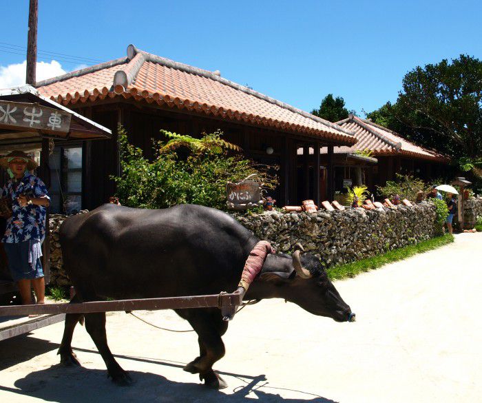 竹富島
