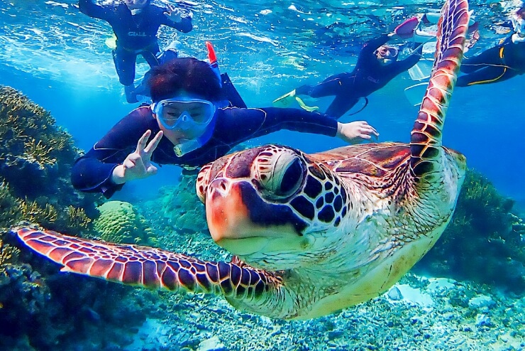 Blue Grotto and Stunning Coral Reefs! Snorkeling and Discovery Diving