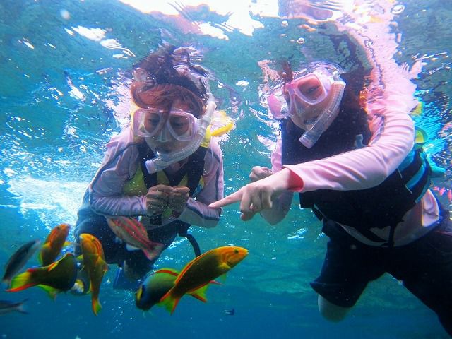 ＜久米島＞一番奥の浜『はての浜』わくわくアドベンチャースノーケル【夏季】