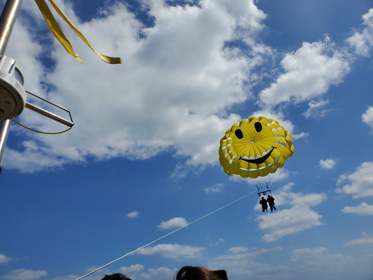 サンゴのお花畑でウミガメ体験ダイビング＆うるま市パラセーリング