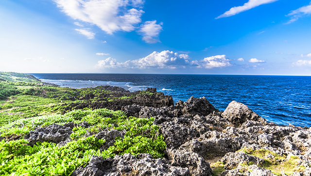 Okinawa Churaumi Aquarium