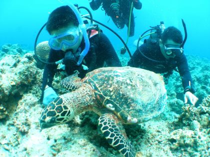 国立公園慶良間諸島　体験ダイビング＆スノーケリング※1月12日～3月31日はホエールウォッチングサービス！【ジョイクリエイト沖縄ティーダ】