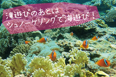 石垣離島巡りツアー