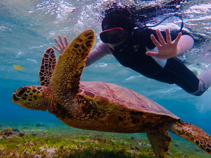 Miyakojima Snorkeling with Sea Turtles Tour