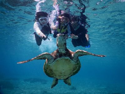 ウミガメシュノーケリングツアー