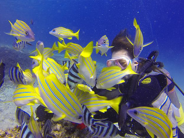 Blue Cave Boat and Diving Experience