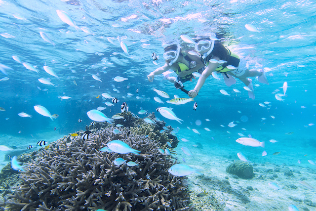 【2歳から参加OK】＼市街地店舗集合でラクラク♪／サンゴとお魚シュノーケリング！ツアー写真、温水シャワー、ドライヤー、駐車場無料